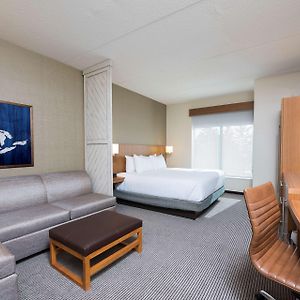 King Room Sofa Bed
